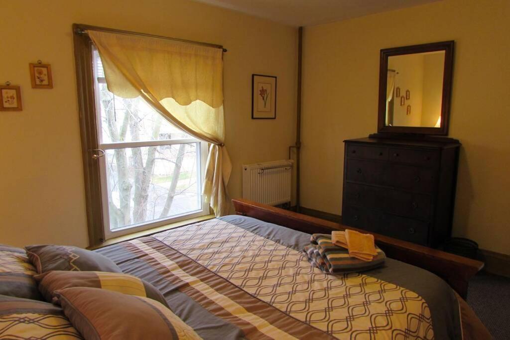 Great Gorge Guesthouse - Walk To The Falls, The Casino And All Downtown Restaurants - Across From The Aquarium Cataratas do Niágara Exterior foto